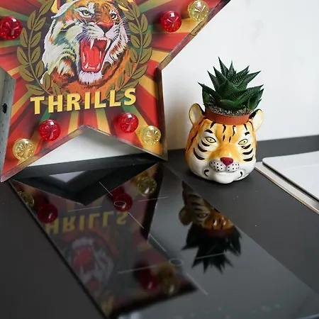 La Tigre Con Terrazza In Centro